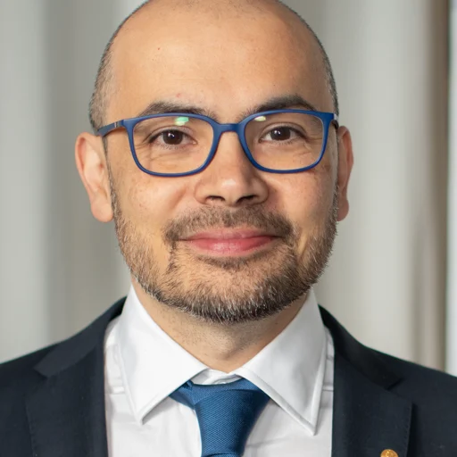 Demis Hassabis avatar or logo