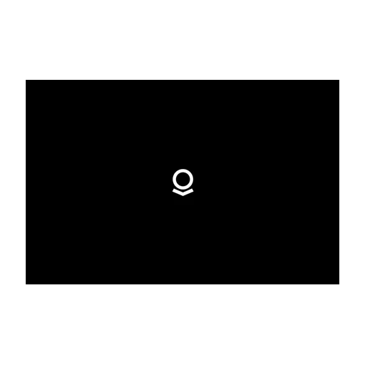 Palantir Technologies avatar or logo